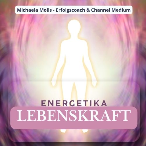 Copyright Lizenz Canva Pro Coaching